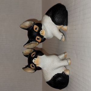 Pair of Adorable Pigs